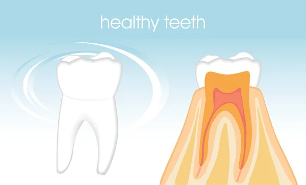 青い背景に健康な歯 — ストックベクタ