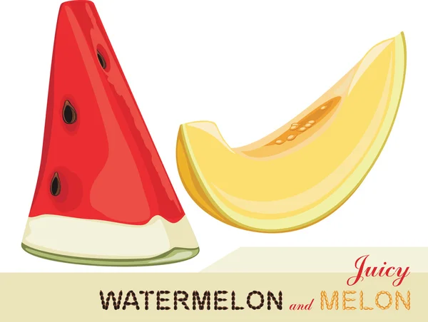 Sappige meloen en watermeloen. pictogram voor ontwerp — Stockvector