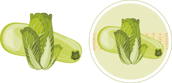 Zucchini och kål. etikett för design — Stock vektor