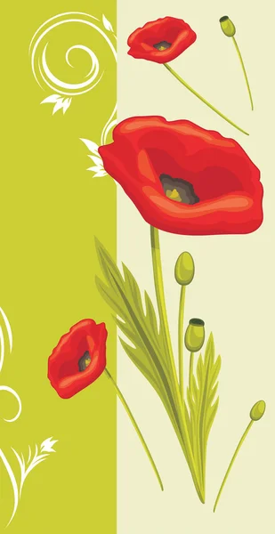 与红色罂粟花装饰背景 — 图库矢量图片