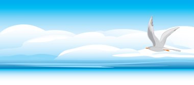 gökyüzü arka plan üzerinde martı