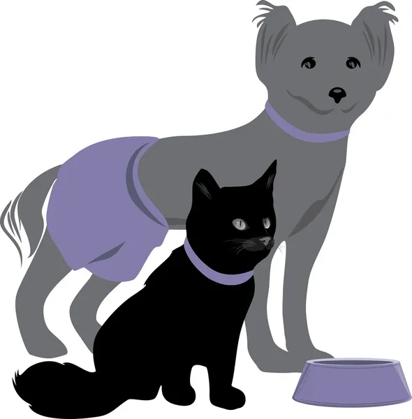 Pes a kočka s miskou v zájmovém — Stockový vektor