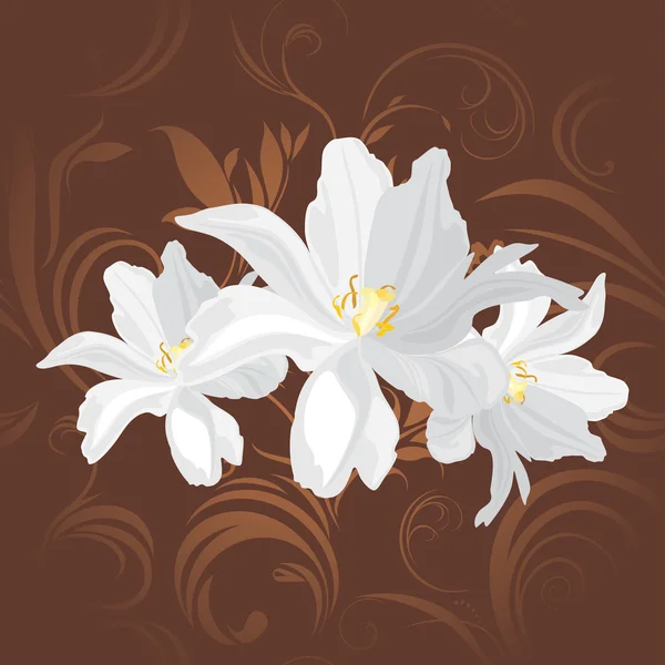 Flores blancas sobre el fondo ornamental marrón — Vector de stock