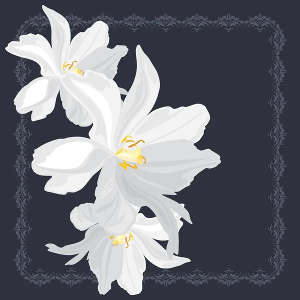 Witte bloemen op de decoratieve frame — Stockvector