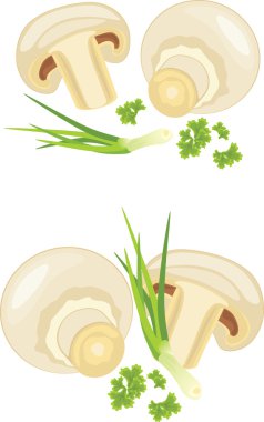 maydanoz ve üzerinde beyaz izole chives ile mantar