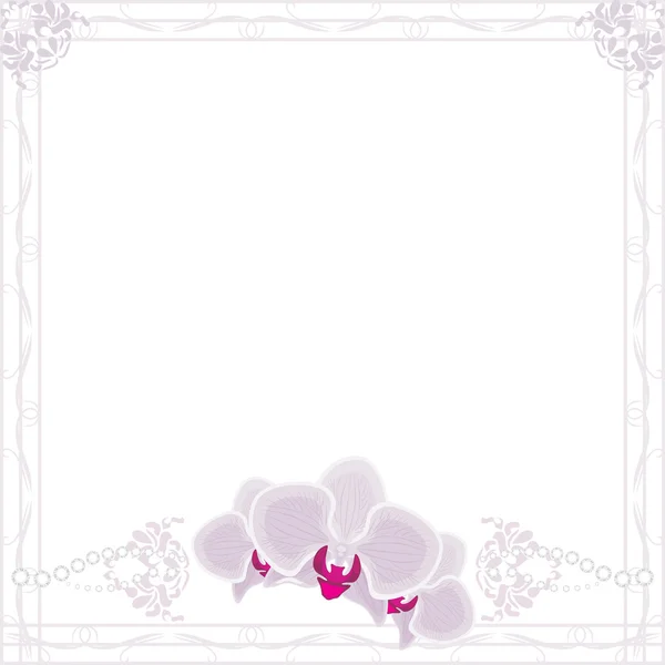 Orchideebloemen in decoratieve frame — Stockvector