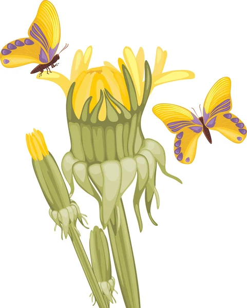 Dandelions and butterflies