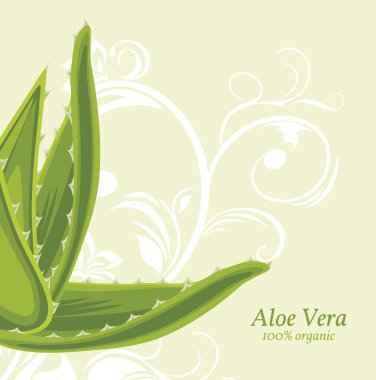 aloe vera ile dekoratif arka plan