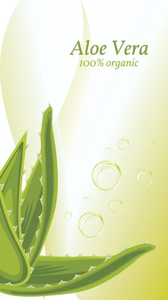 Aloe vera sullo sfondo astratto con bolle — Vettoriale Stock