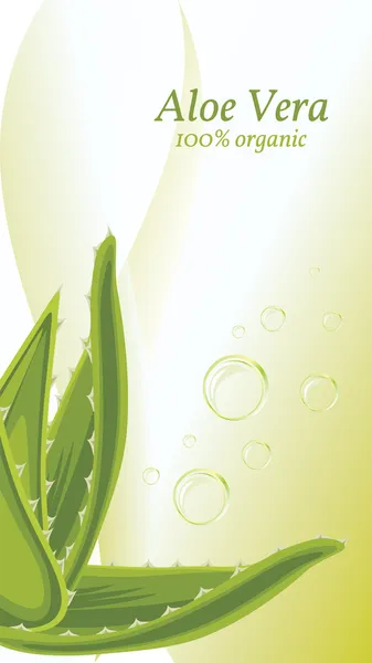 aloe vera kabarcıkları ile arka plan üzerinde