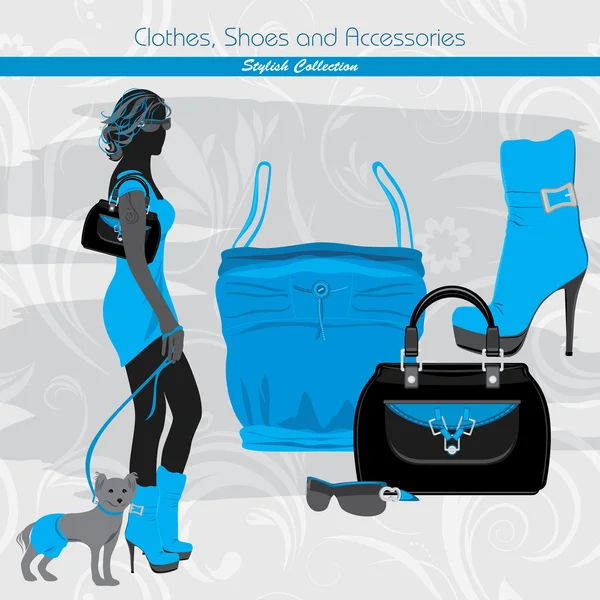 Abbigliamento, scarpe e accessori. Collezione elegante. Banner per il fashion design — Vettoriale Stock