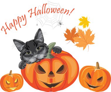 Kara kedi ve gülen balkabakları. Cadılar Bayramı tebrik kartı