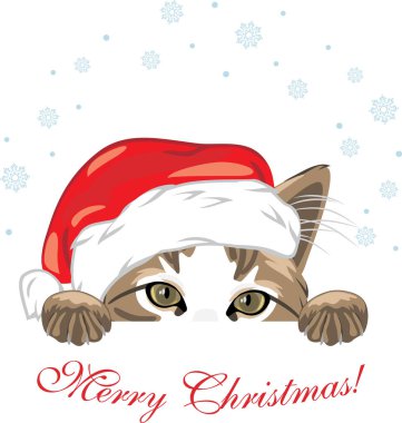 Noel şapkalı komik bir röntgenci. Kartpostal için şenlikli tasarım