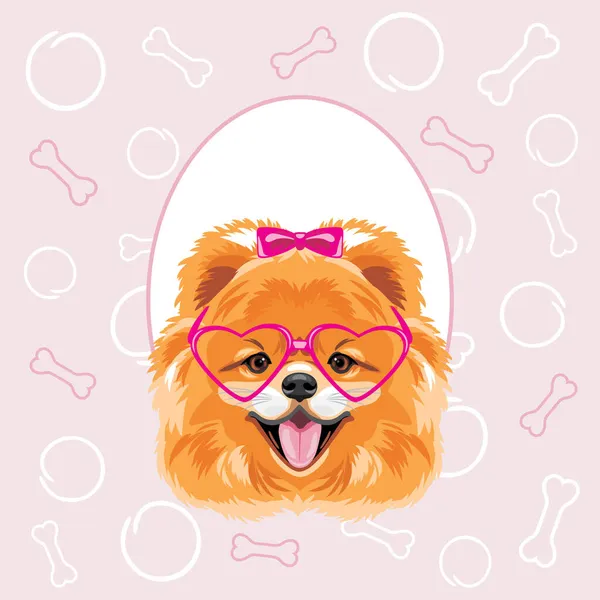 Funny Pomeranian Dog Decorative Frame Scrapbook Sample Girl — Stock Vector