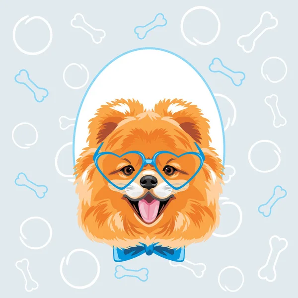 Весела Поморська Собака Декоративній Рамці Зразок Скрапбука Хлопчика — стоковий вектор