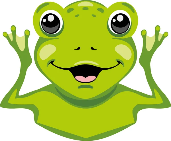 Portrait Lucky Frog — Stock Vector