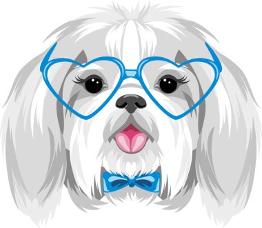 Shih Tzu 'nun mavi gözlüklü portresi