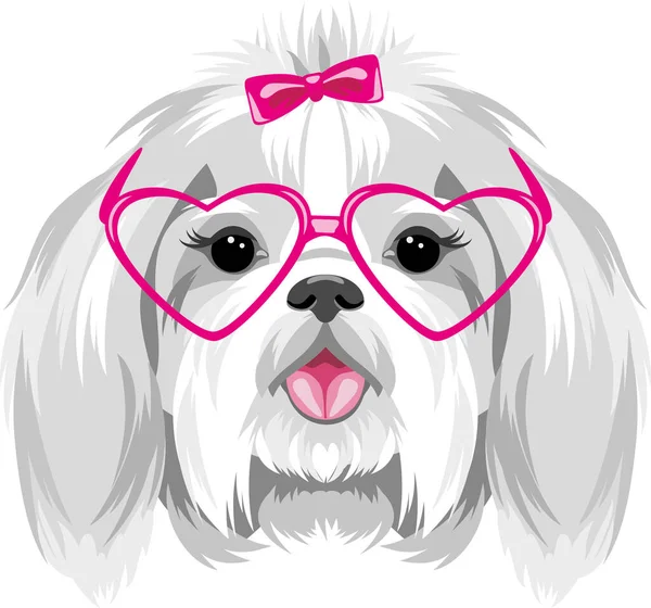Portrait Shih Tzu Pink Eyeglasses — Stok Vektör