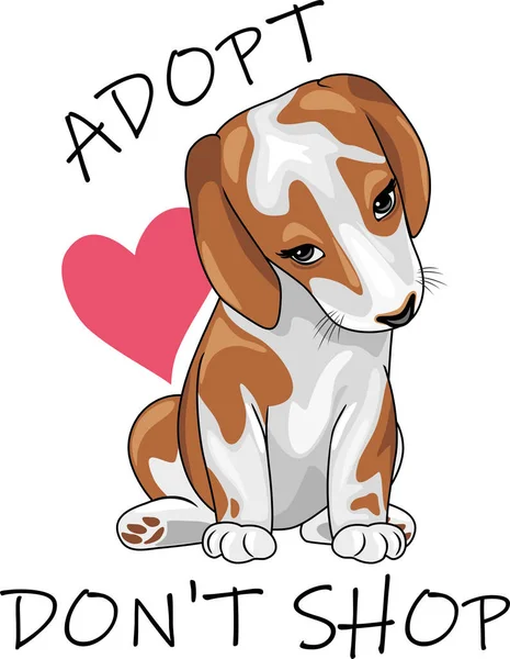Słodki Beagle Adoptować Nie Rób Zakupów — Wektor stockowy