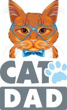 Mavi gözlüklü akıllı kızıl kedi. Kedi baba.