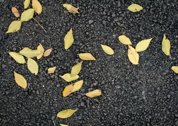 Asphalt — Stockfoto