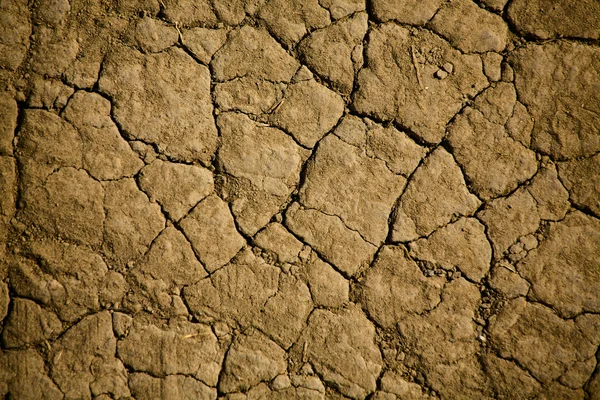 Dry land. — Stock Photo, Image