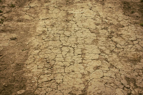 Tierra seca. — Foto de Stock