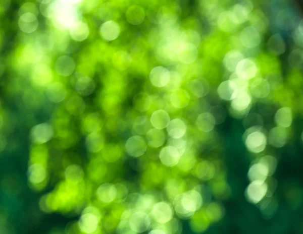 Bokeh. — Stock Photo, Image