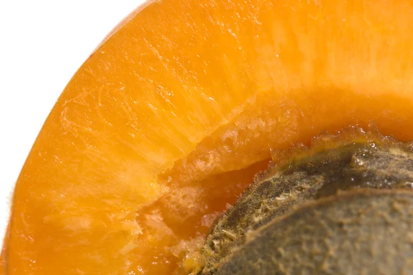 Makro aprikot — Stok Foto