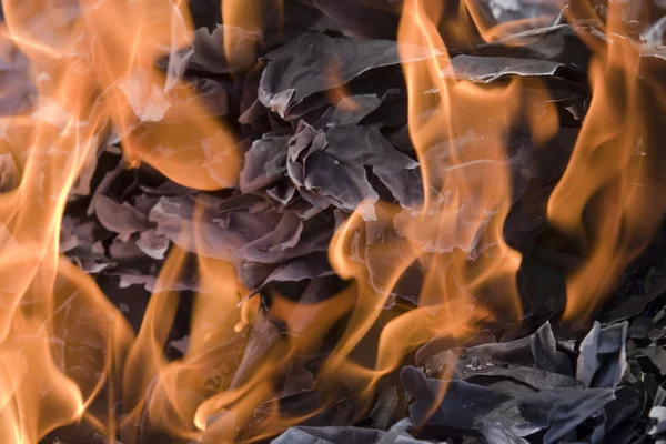 Yangın kağıtları