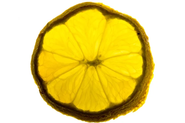 Potongan Citrus — Stok Foto