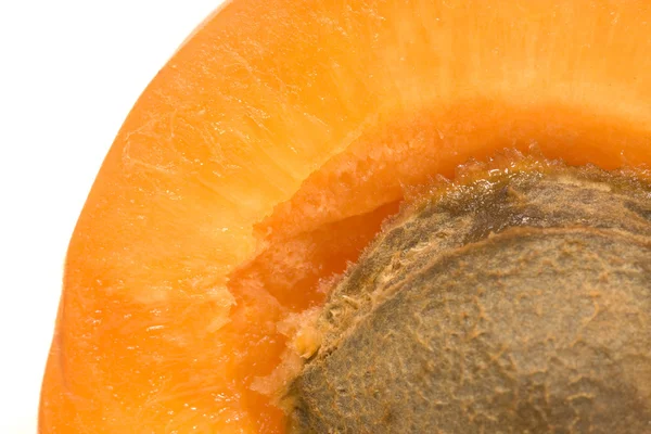 Makro aprikot — Stok Foto