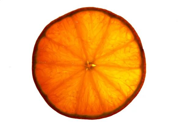 Макрос помаранчевий — стокове фото