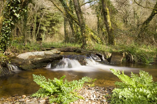 River landscape — Stock Photo, Image