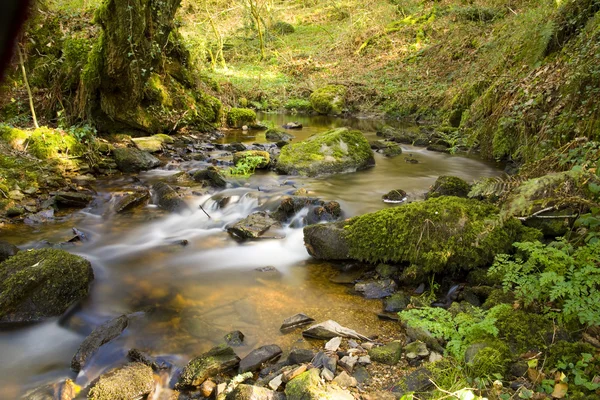 River landscape — Stock Photo, Image