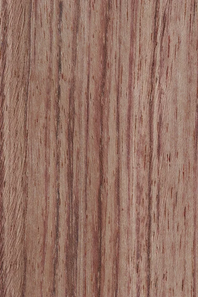 Bubinga — Foto Stock