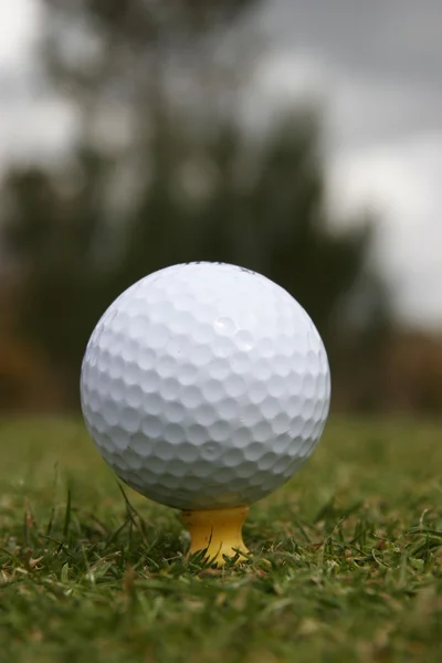 ゴルフのプレー — ストック写真