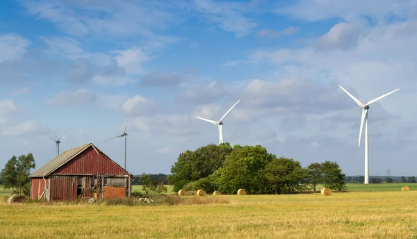 Zweedse landbouw landschap — Stockfoto