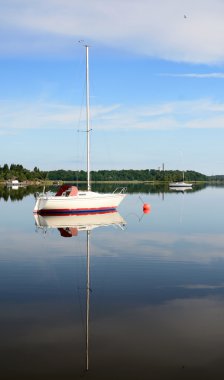 ronneby Park şelale