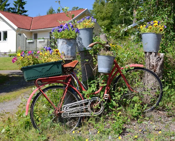 Bicicleta como um vaso de flores — Fotografia de Stock