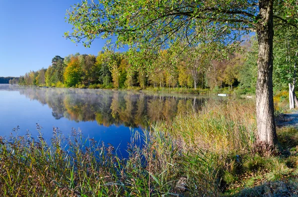 Herfst natuurlijke frame — Stockfoto