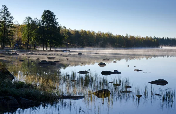 スウェーデンの霧の朝 — ストック写真