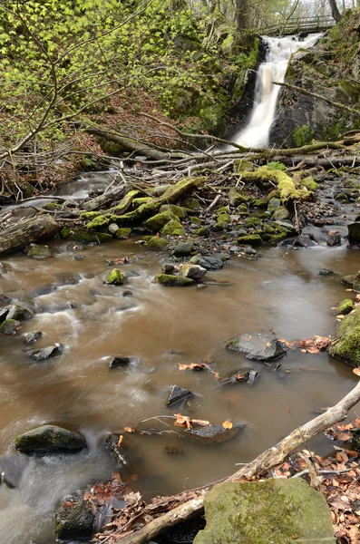 Vilda svenska creek — Stockfoto