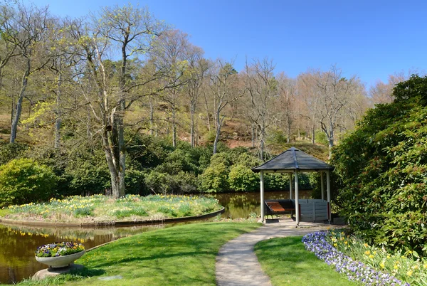 Spring in Swedish park — Stock Photo, Image