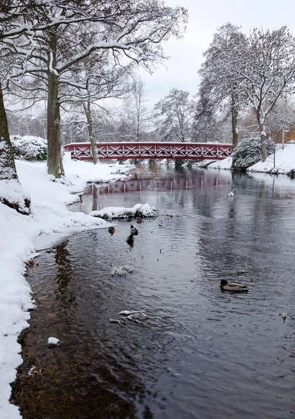 Зимняя река в шведском парке — стоковое фото