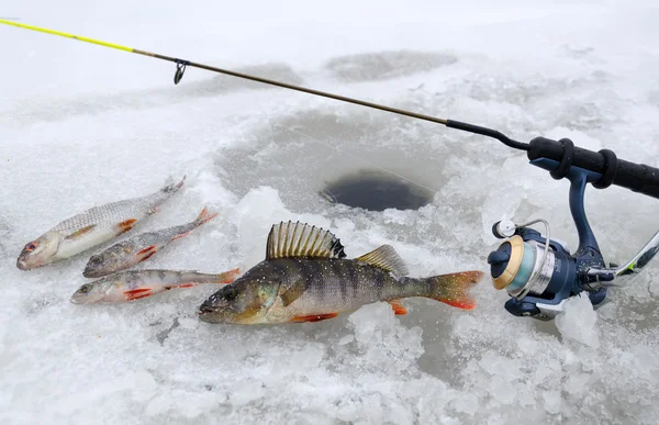 Tiempo para la pesca de invierno lago — Foto de Stock