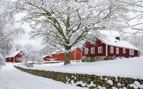 在瑞典乡村的冬天 免版税图库图片