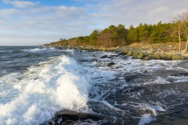 Stormy winter sea — Stock Photo, Image