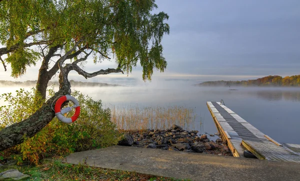 Swedsih 湖で霧の朝 — ストック写真