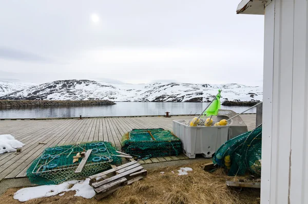 Saison d'hiver pour cerfs rênes — Photo